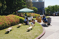 あおぞら図書館＆グリーンワークショップ